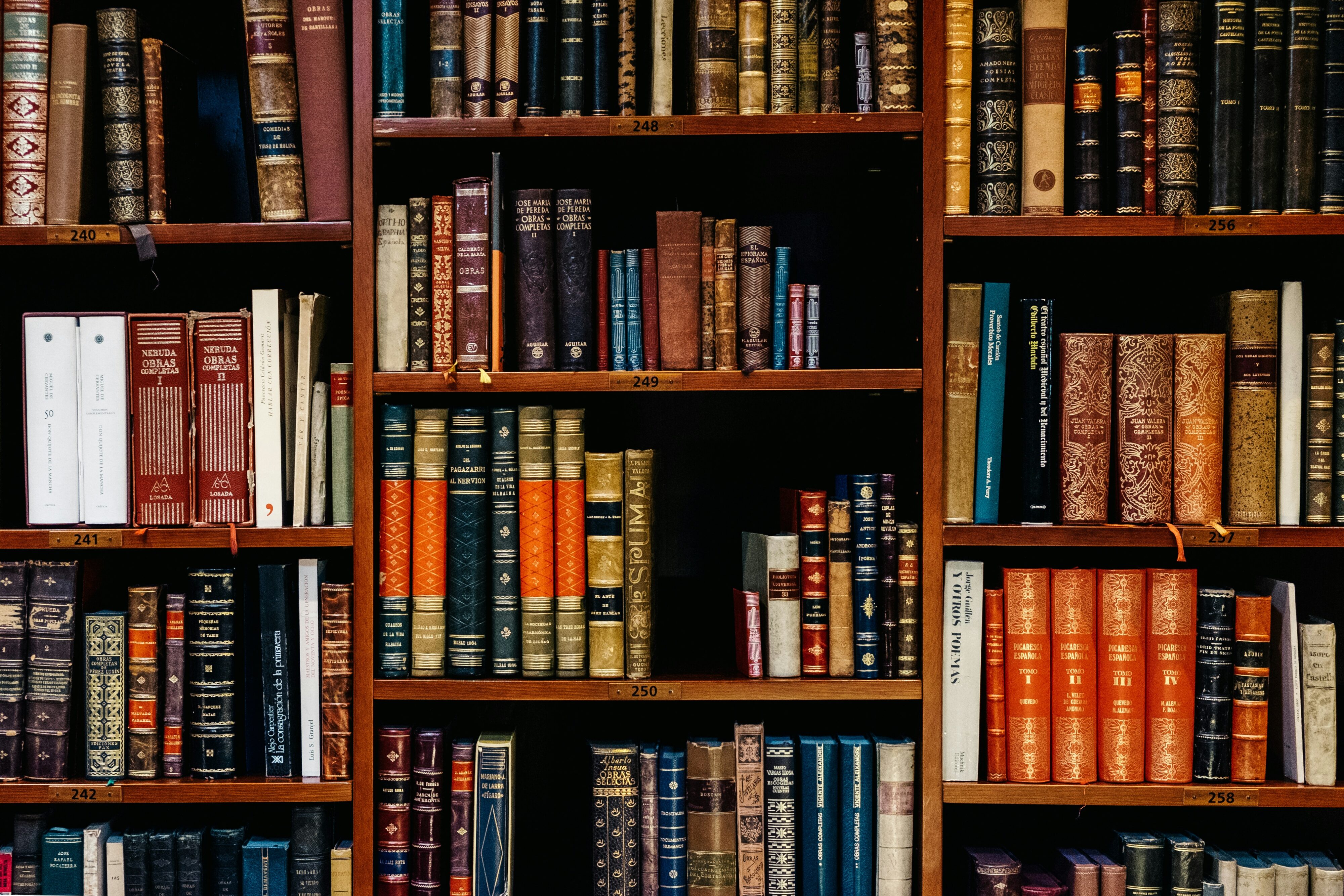 Zoom Through the Ages with Ben Nalle and BiblioPlan's new suite of live, hybrid, and self-paced courses!
